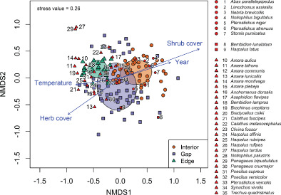 Surface temperature and shrub cover drive ground beetle (Coleoptera: Carabidae) assemblages in short-rotation coppices