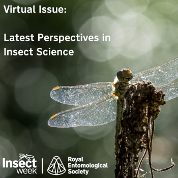 RES National Insect Week